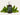Bergamot “San Carlo” Petitgrain Bergamottier – Steam Distilled
