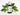 Mandarin Petitgrain “Mandarinier” – Steam Distilled