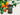 Orange Tree – Blend